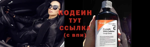 jwh Карпинск