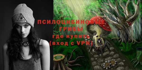 винт Каменск-Шахтинский