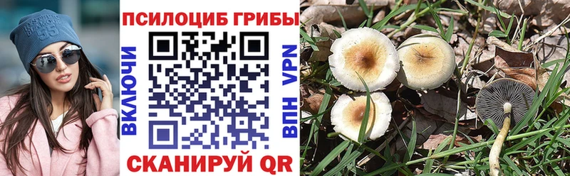 Галлюциногенные грибы Psilocybine cubensis  Спасск-Рязанский 